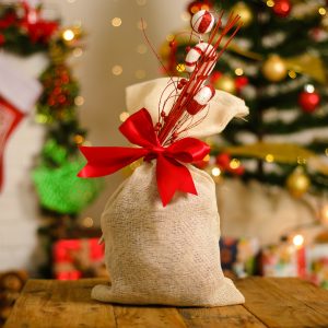 ¿Qué son los regalos navideños amigables con el medio ambiente?