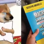 Cosas que Extrañamos del directorio de la Sección Amarilla